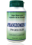 Aphanizomenon